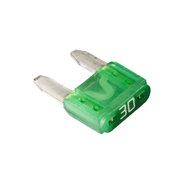 W & E Sales Co MINI FUSES- 30 AMP 10/bx*AV16360 WE2698 - main